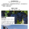 西班牙原装进口红帽女郎干红葡萄酒 整箱750ml*6瓶包邮 商品缩略图6