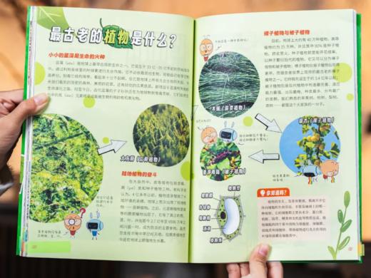 《中国中小学生通识教育课》(全12册) 24大领域全覆盖，600+通识主题，3000+知识点，兼具趣味性、知识性，寒假必备、每天半小时，一个月让孩子“脱胎换骨”。 商品图12