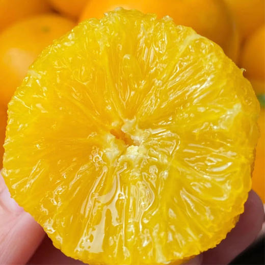 【会员福利、领完为止。先到先得】哀牢山冰糖橙礼盒2.5kg/件（仅限到彩虹店可以领取） 商品图2