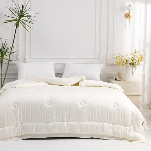 多喜爱 恬梦微醺蚕眠舒柔春秋被/冬被 桑蚕丝被 暖柔搭档蓬松和保暖手感柔软亲肤舒适吸湿透气性好 商品图5