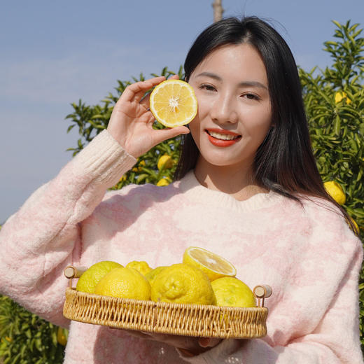 湖南岩垅黄金贡柚 纯甜不酸 果肉脆嫩汁水饱满 橙子的甜柚子和柠檬的香 CYXYP 商品图6