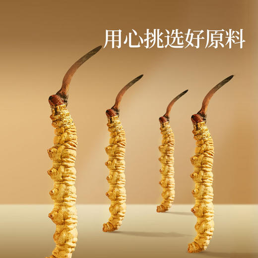 同仁堂&造养青年牌冬虫夏草+同仁堂&造养青年西洋参【GHCJ23.0】 商品图1