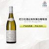 2020 Michel Niellon Bourgogne Blanc 尼尔伦酒庄勃艮第白葡萄酒 商品缩略图0