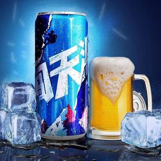 勇闯天涯12瓶*500ml/件 商品图1