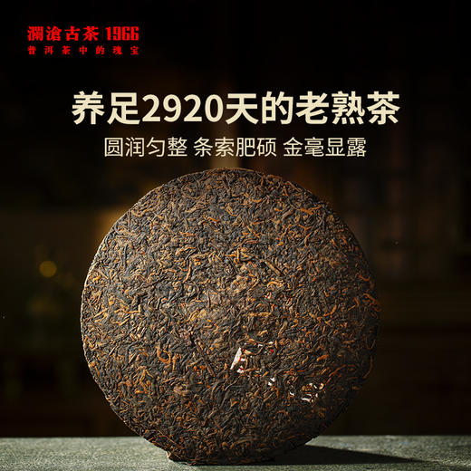 澜沧古茶8年樟木陈香老熟茶 商品图3