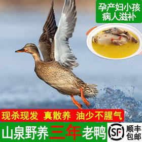 「皖南小镇」鸡鸭产品 小河稻田散养 肉质鲜美  口感醇厚 清水煲汤就很香