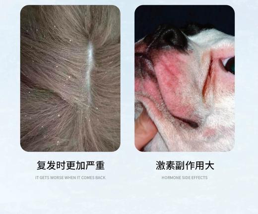 禾烁烁经典猫咪皮肤修复滴剂  猫咪款 商品图6