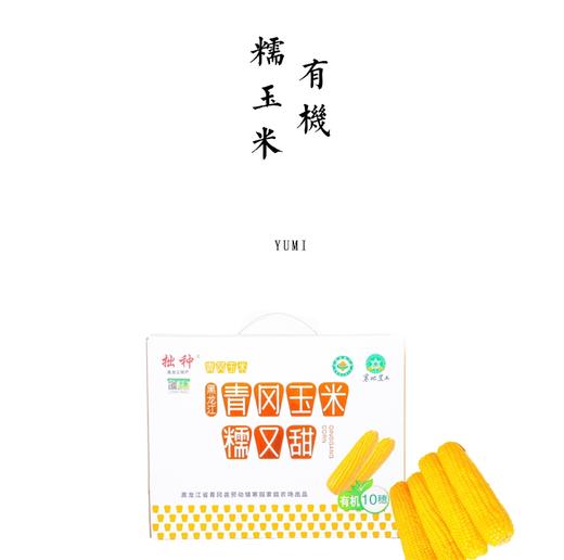 有机糯玉米 （每穗大约250g） 商品图0