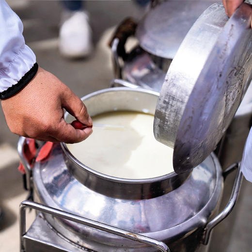 红原有机牦牛奶粉 （袋装新包装）吃百花草，牦牛奶营养更高 自由觅食200余种高原青草 牦牛无需饲料 与850余种野生药用植物共生 商品图5