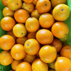 【会员福利、领完为止。先到先得】哀牢山冰糖橙礼盒2.5kg/件（仅限到彩虹店可以领取） 商品缩略图1