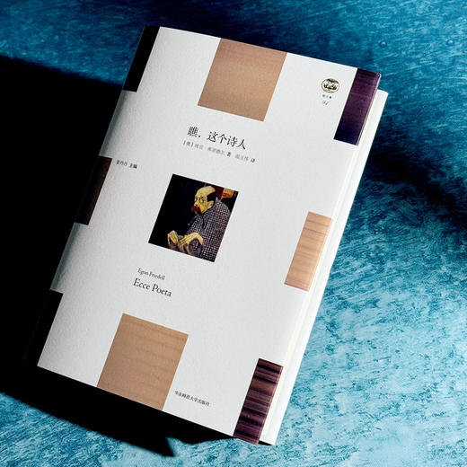 瞧 这个诗人 埃贡·弗里德尔 六点图书 散文体 现代文化史 哲学 商品图4