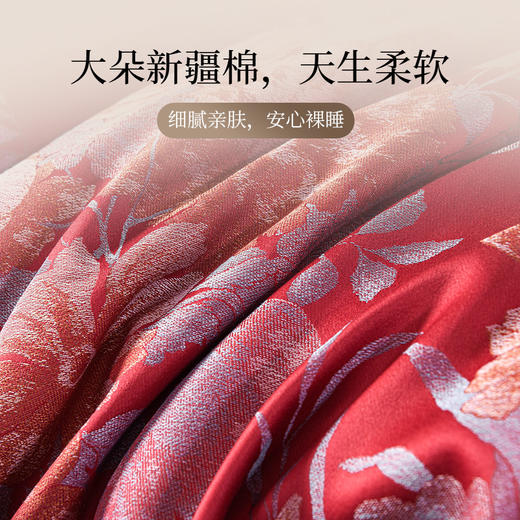 雅芳婷新款高针新疆长绒棉色织六件套床笠款高奢提花纯棉全棉套件 商品图3