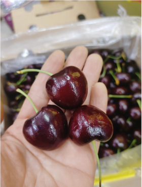 黄箱智利黑车厘子一斤