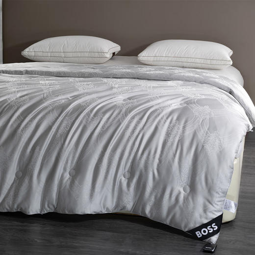 （分2个包裹发货）丝棉贡缎四件套（香槟金）HBTSM001+BOSS蚕丝蛋白被 HBCS-010 【GHCJ23.0】 商品图3