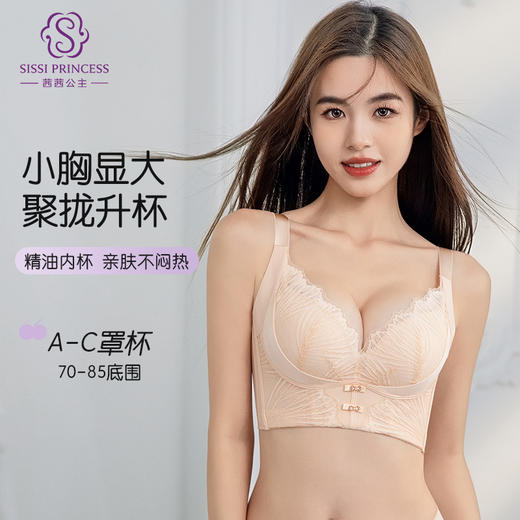 巴黎之梦调整型文胸 商品图2