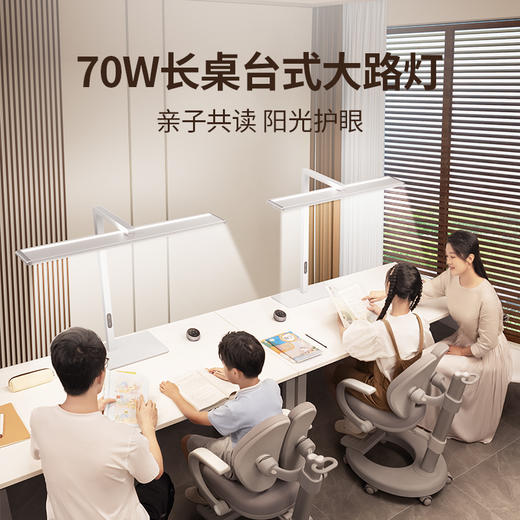 分销-孩视宝长桌立式大路灯R01-70w 商品图0
