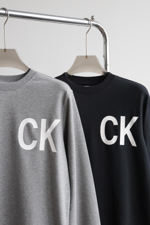 西K 出口元单 薄毛圈卫衣 宽松版 WY872 商品图5