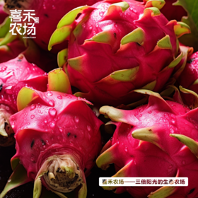 喜禾农场海南红心火龙果大果5斤装（5-6个）| 自然成熟、清甜不腻、果肉绵密、汁水超足