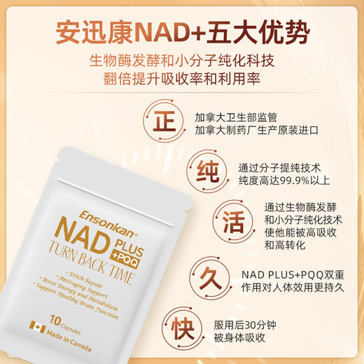 Ensonkan安迅康 加拿大进口PLUS NAD+PQQ复合型补充剂线粒体抗衰前体 便携10粒/包 商品图3