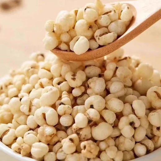 零食团🔥19.9抢40包⚡炒薏苡仁🌾由十年老师傅手工古法炒制 无油干炒 颗颗个大饱满 配料只有薏米 泡酸奶做早餐也超nice基地直邮 商品图1