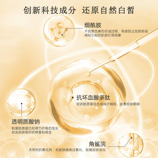 嘉顿肯妮精纯皙颜系列皙颜乳皙颜霜美容院正品直发深层滋养肌源抗氧 商品图3