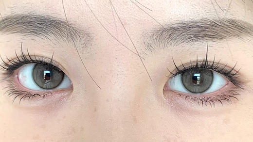 Bariecat日抛 · 小奶豆 ·14.2mm白狮参考着色中等直径   日抛 一盒十片装 商品图2