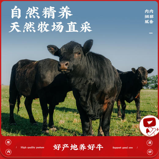 澳洲原切谷饲牛排牛肉礼盒 商品图7