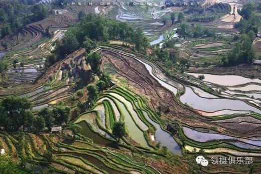 云南梨花寨、罗平油菜花、弥勒东风韵、元阳梯田、建水古城、宜良樱花8天摄影团 商品图5