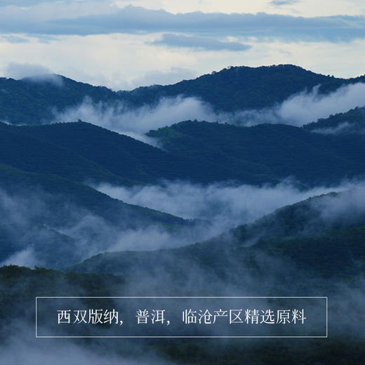 2024年问鼎乌金普洱茶 商品图2