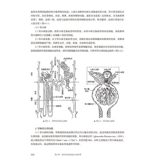 内科护理学 第4版 全国高等学校教材十四五规划新形态教材 供护理学类专业高等学历继续教育等使用 人民卫生出版社9787117366854 商品图4