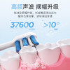 美的电动牙刷成人震动充电智能声波学生情侣全自动牙刷男女送朋友180天续航YS7 商品缩略图3