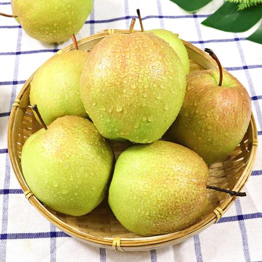 香梨 1000g/份（水润多汁） 商品图0