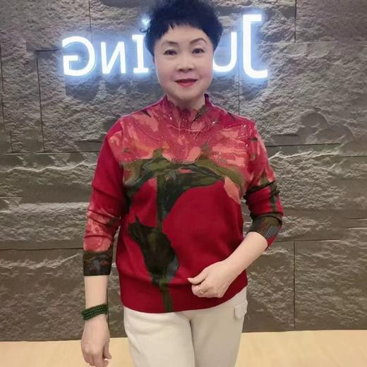 A808休闲宽松大版衫2025阔太太半高领针织上衣女百搭休闲高弹力打底衫 商品图8