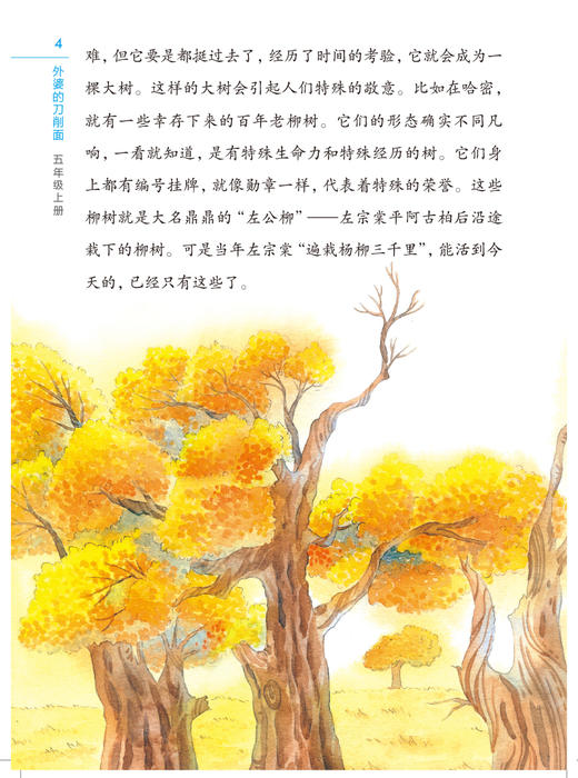 外婆的刀削面 李光卫主编 五年级上册课外书fb外婆家的刀削面 小学生快乐阅读丛书5年级第一学期语文课外阅读书籍 上海教育出版 商品图3