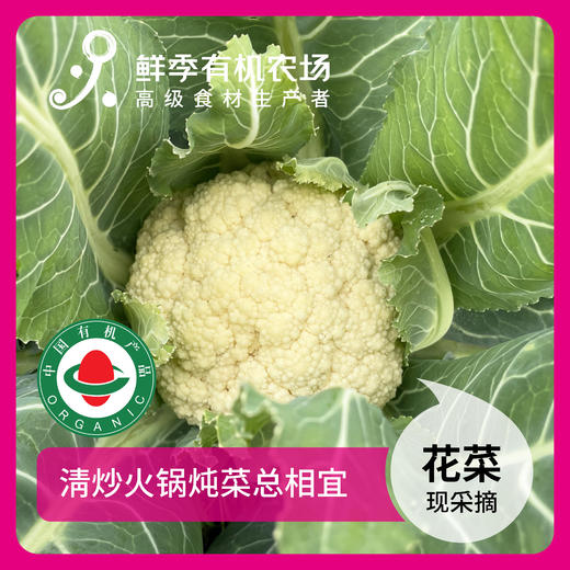 一人吃宝贝套餐  6样菜+6枚鸡蛋+1个鸡全腿+3两猪精瘦肉 商品图1