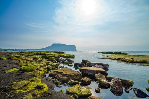 6月21日韩国【济州岛免签】韩风来袭、浪漫绣球花海岸线5天摄影（广州直飞） 商品图9