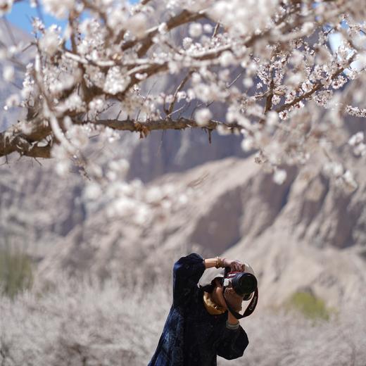 春季南疆 | 帕米尔的春田花会 8天7晚 商品图3
