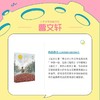 红枣曹文轩 少年文学典藏书系书籍fb小学生五年级六年级课外书曹文轩红枣9-12岁儿童文学名著作品短篇小说 商品缩略图2