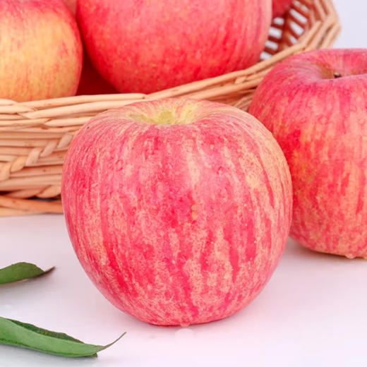 陕西富士75#【约650g—700g】 商品图1