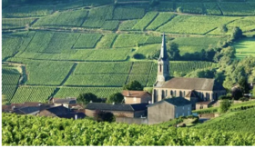 重磅豪礼！比拉菲还稀缺的法国波尔多AOP干红，今天几十元到手！限量送电动开瓶器