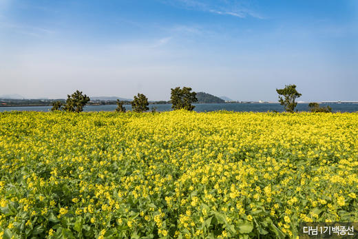3月24日韩国【济州岛免签】韩风来袭、花花世界海岸线5天（广州直飞） 商品图2