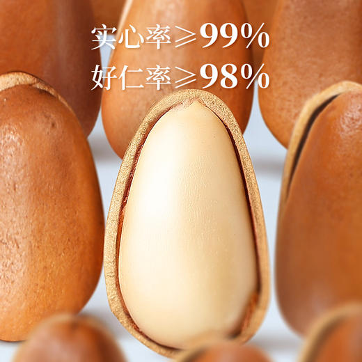 沃隆东北松子308g罐装东北红松大颗粒 商品图2