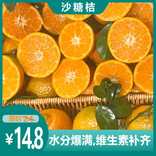 砂糖桔 商品图0