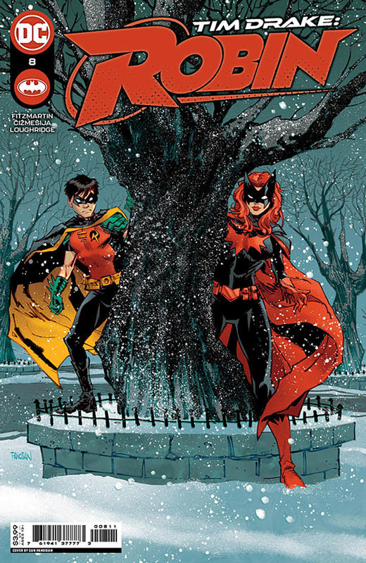 提姆·德雷克 罗宾 Tim Drake Robin 商品图5