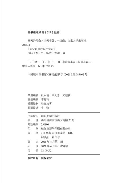 夏天的使命 王天宁著 正版fb天宁哥哥成长小宇宙 少年儿童课外阅读图书籍 山东大学出版社 商品图2