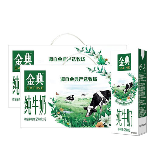 伊利金典纯牛奶 250ml*12盒*2 两提装--LZY 商品图0