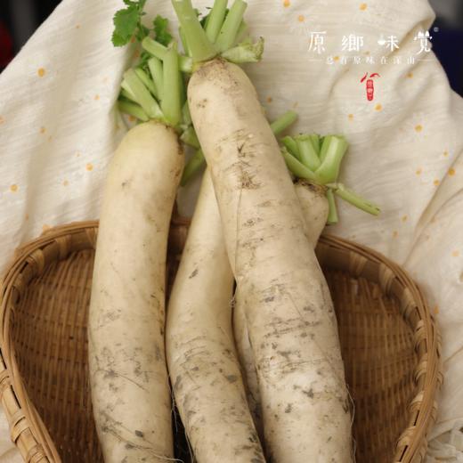 生态萝卜（农场直发-顺丰包邮）| 长萝卜+圆萝卜+紫皮萝卜+红皮萝卜，四种混装，5斤/箱，成都郫都区基地【原乡农场，自产自销】 商品图3