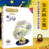 魔法书 安武林文集 注音美绘版fb小学生二年级课外书童话故事阅读书籍 上海大学出版社 图书安武林魔法书 商品缩略图0