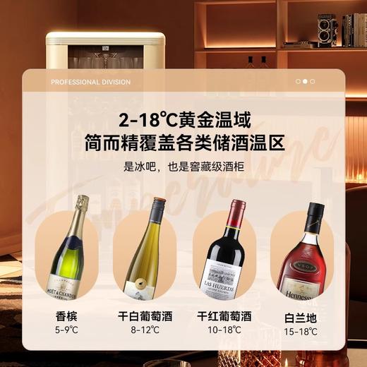 大宇复古冰吧风冷无霜一级能效冷藏冷柜家用小型冰箱DY-RC133A 商品图3