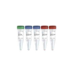 VAHTS Circularization Kit for MGI